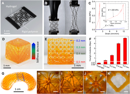 研究员开发出可打印包含多种可紫外固化聚合物的水凝胶的多材料3D打印工艺 （下）
