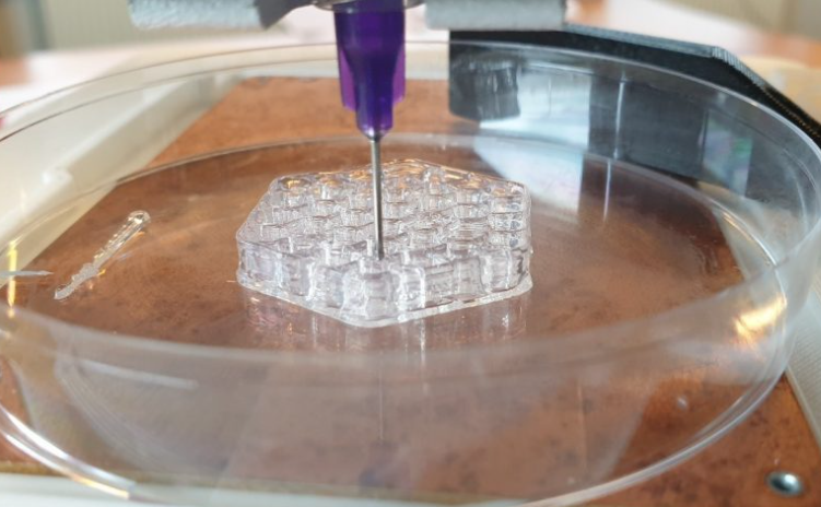 Xpect-INX将为BIOprinter开发定制3D打印生物材料