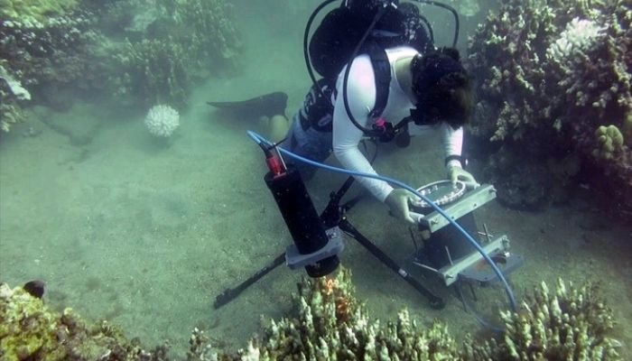 3D 打印显微镜将能够检测海底的微塑料