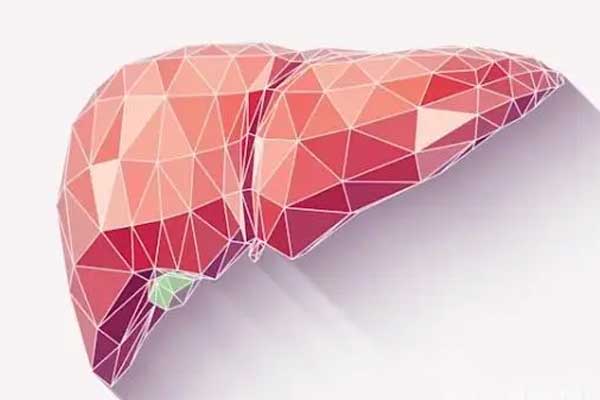 3D打印肝脏术原理与临床应用前景，3d打印肝脏多久能临床应用