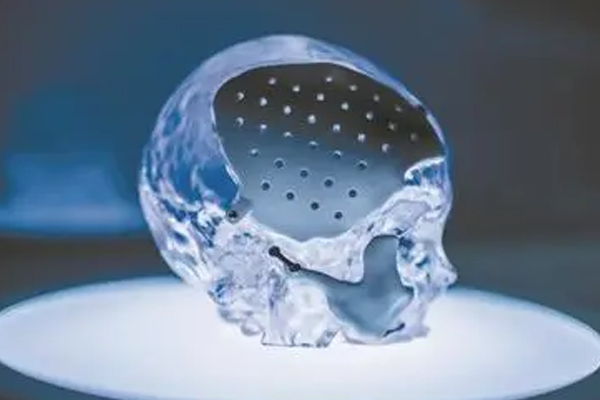 3D打印生物：科技赋能医学领域的未来