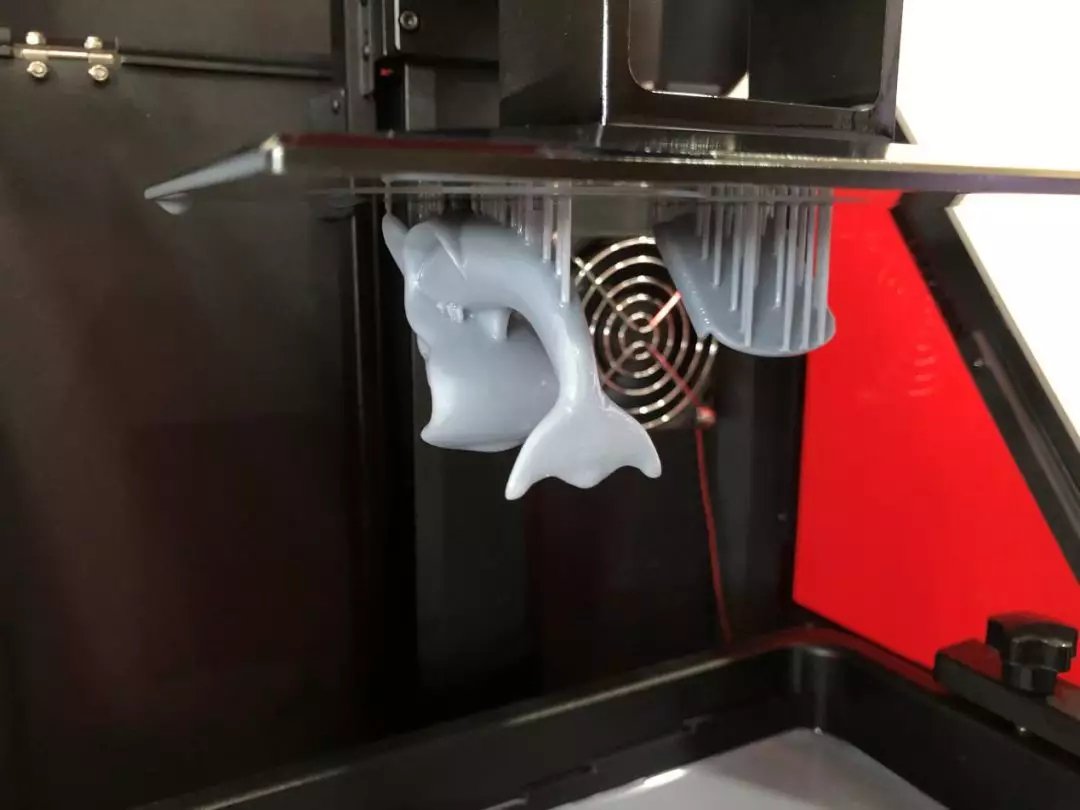 3D打印机实操打印海豚