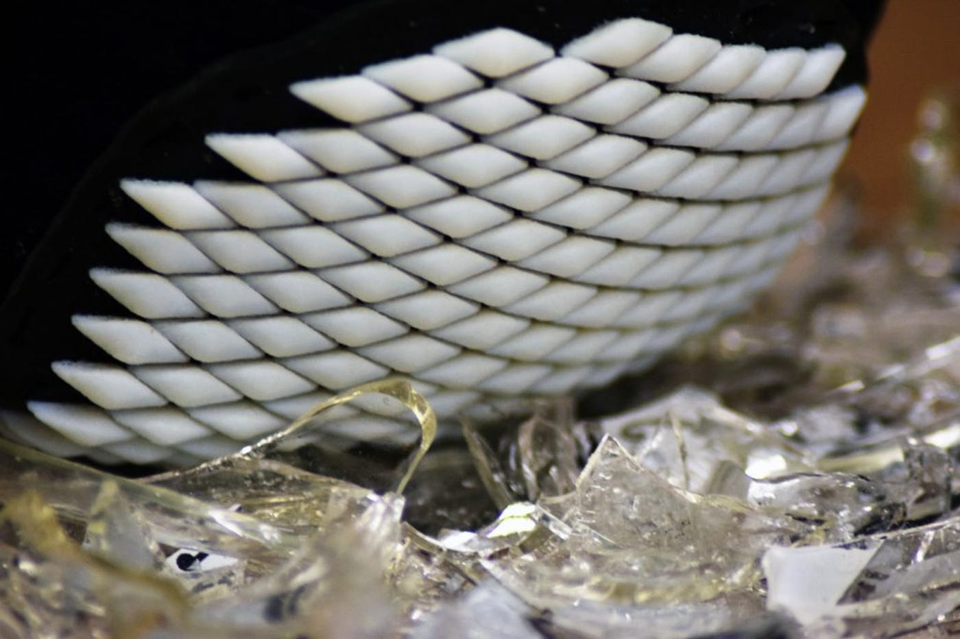 3D打印的柔性装甲受到碎玻璃上的石鳖类软体动物的启发