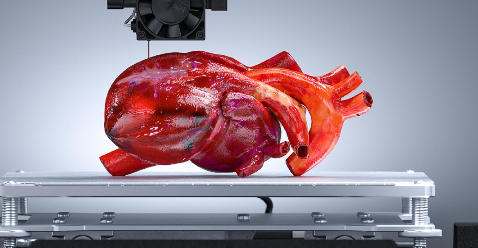 研究人员开发出用于打印人体器官的快速3D打印方法