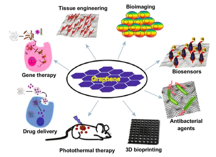 科学家探索石墨烯在3D打印和生物医学应用中的奇迹和毒性