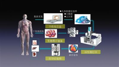 3D打印服务