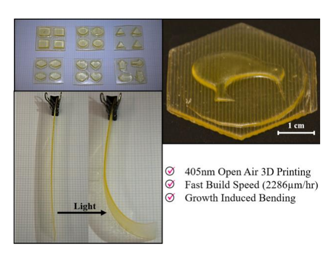 奥克兰大学开发出3D打印后可生长诱导弯曲的新型RAFT树脂