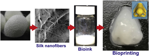 大阪大学科学家开发出基于丝纤维的新型生物墨水