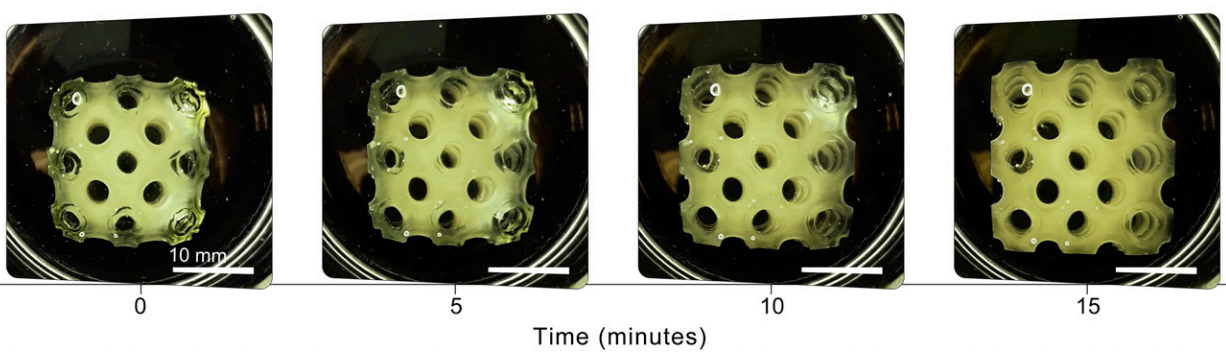 研究员开发出用于SLA 3D打印的新型铁电超材料