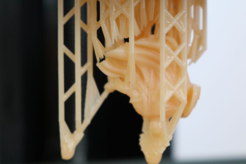 3D打印机评测：Longer Orange 10 3D打印机（三）-秀美