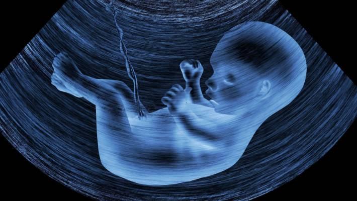 3D打印人造子宫来了，未来女性也不用亲自怀孕了？