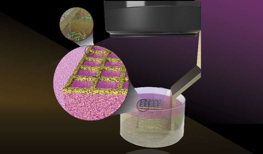 科学家开发出 3D 打印活微生物的新方法