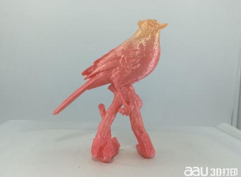 一只鸟