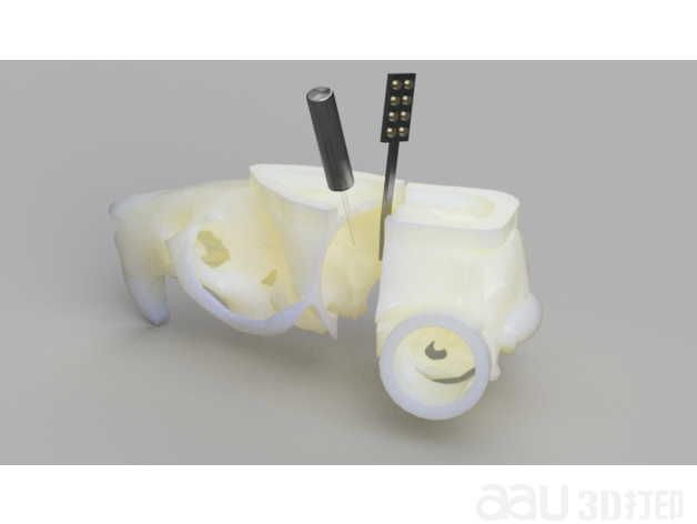 大鼠头骨stl模型