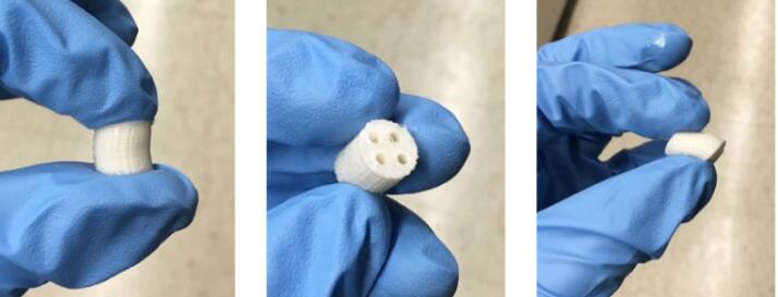 Nanochon提供能快速生长的3D打印软骨植入物治疗方案