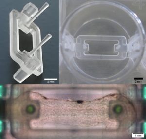 新颖的生物3D打印技术为退行性疾病带来希望