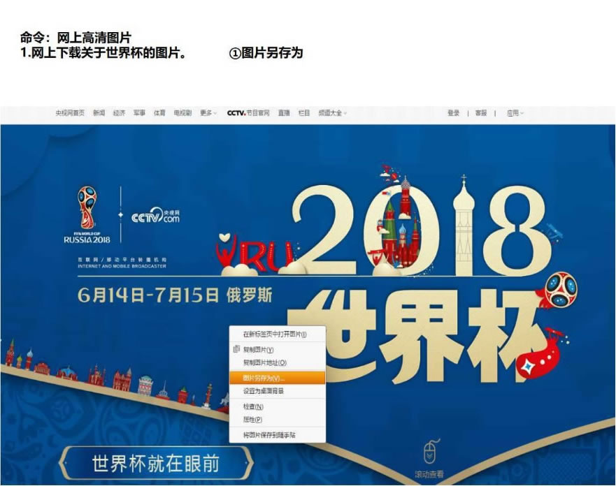网上下载关于世界杯的图片