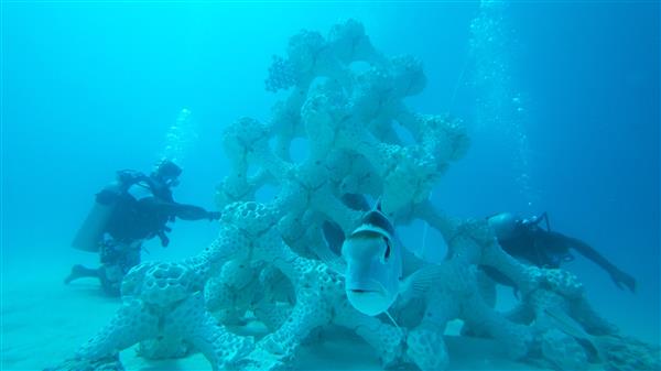 世界上最大的人工3D打印珊瑚礁安装在马尔代夫夏日岛
