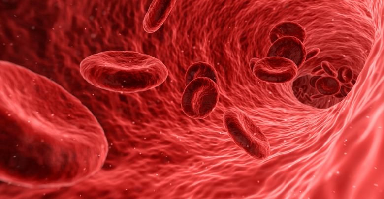 哈佛大学研究人员开发出生物3D打印复杂血管网络的方法