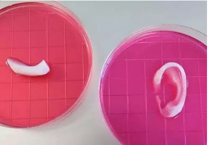 浙江大学研发“黑科技” 让3D打印迷你器官不再是梦