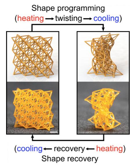软硬可变、形状可变的4D打印超材料