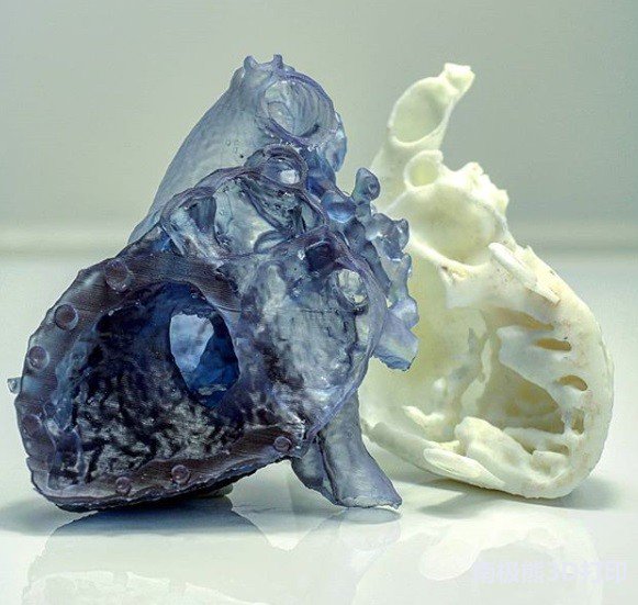 3D打印心脏模型