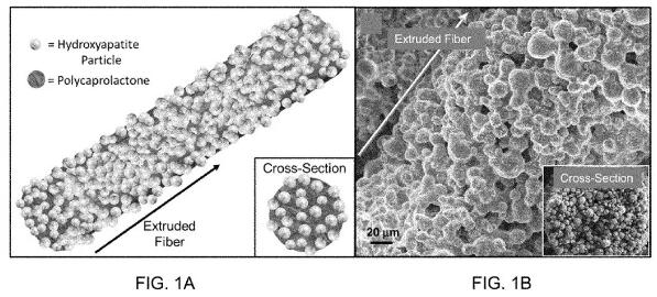 bone_scaffold_1