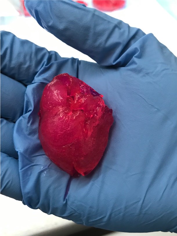  3D打印的迷你心脏