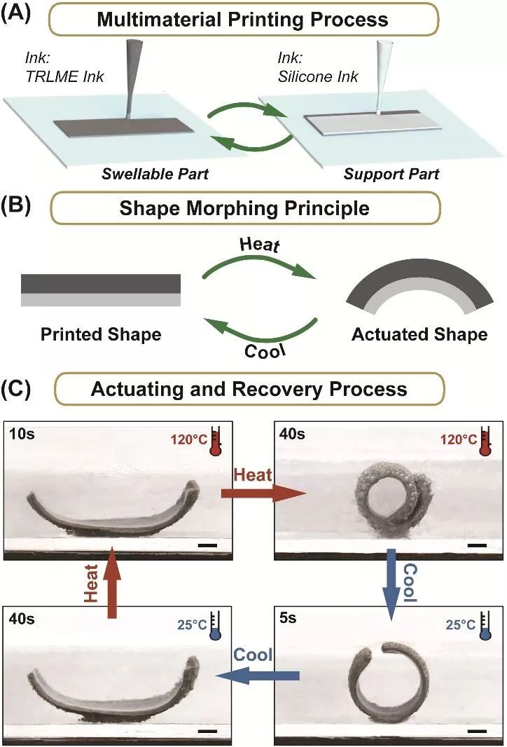 微气囊膨胀驱动实现快速热响应的4D打印新原理